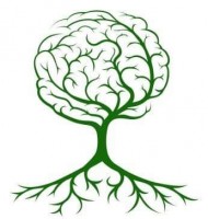 Learning Habits