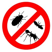 Local Pest Removal Geelong
