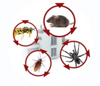 Pest Control Adelaide