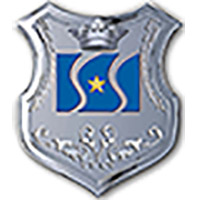ChineseSRT