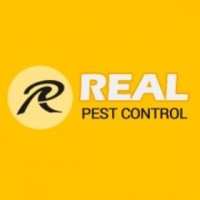 Realpestcontroladelaide