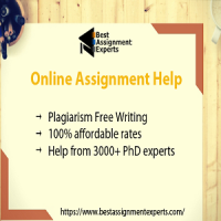 Best Assignment Experts