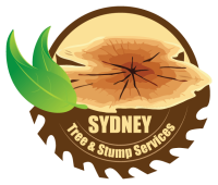 Sydneytreeandstump