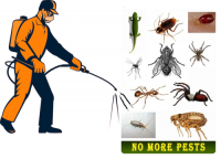 Pestcontrolbellpark
