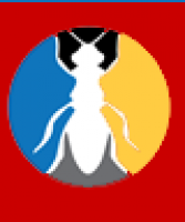 Ace Pest Control Brisbane