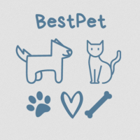 BestPet