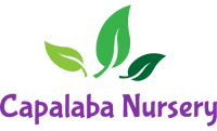 Capalaba Nursery