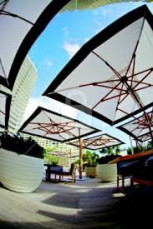 Plantation Dual Cantilever Umbrella by T
