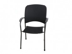 Carlo Outdoor Wicker Dining Chair