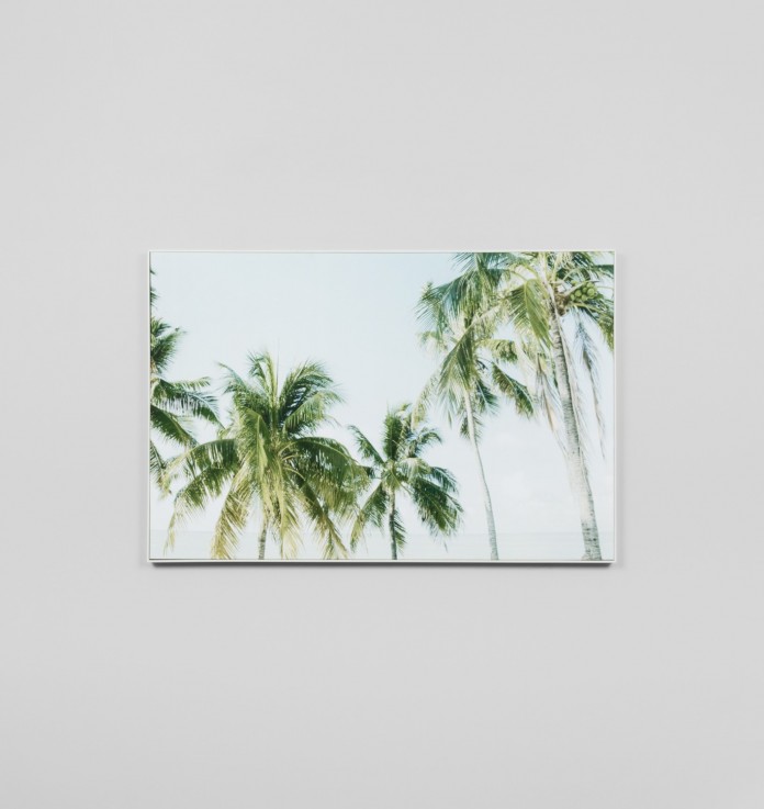 Sunlit palms canvas art with timber fram