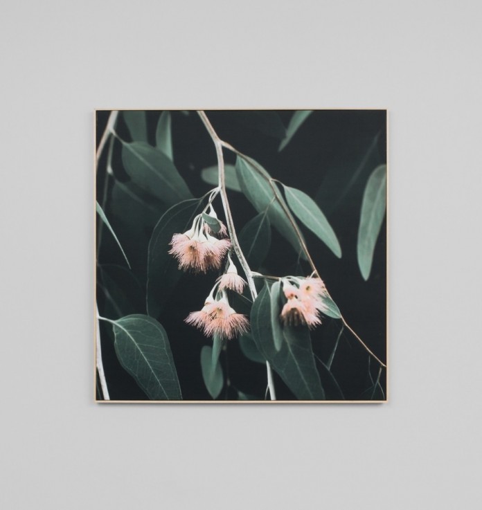 Eucalyptus bloom canvas art with timber 