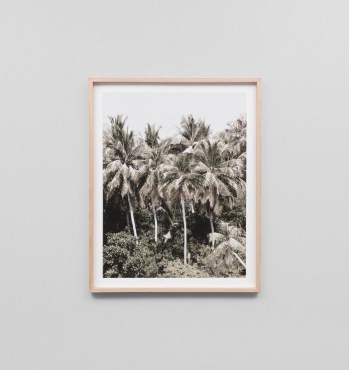 Overgrown Palms art with timber frame