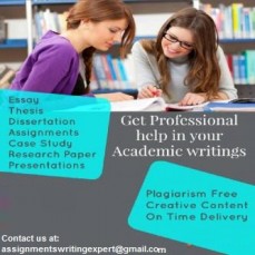 Essay/Assignment/Thesis writing