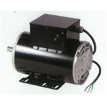 Looking for Electric Motor for Sale