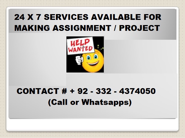I can make your assignment/project