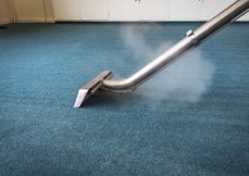Carpet Cleaning The Gap