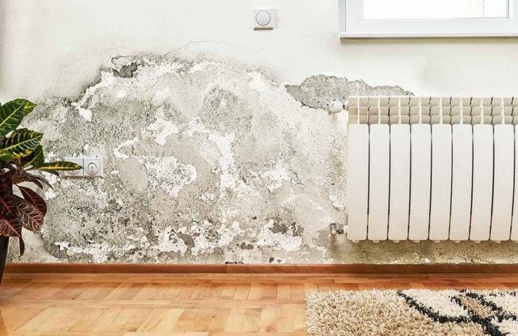 Reliable Pre Purchase Building Inspections Adelaide