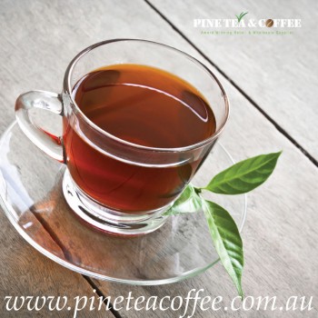 Pine TEA & COFFEE | retail & wholesale s
