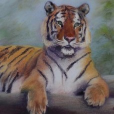 Animal Canvas Wall Art Prints for Sale