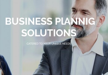 Professional Business Plan Writer