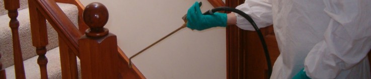 For Rat Control Penrith – Contact Falls Pest Control