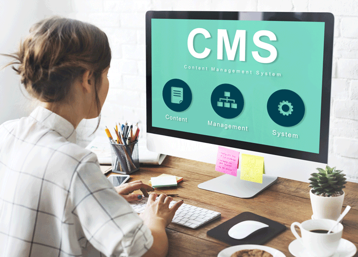 What is CMS Website Design is All About?
