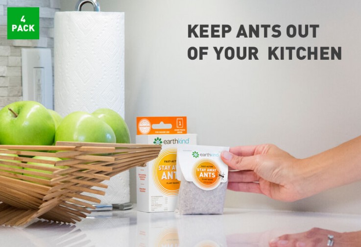 Stay Away Ants|Ants Repellent  Earthkind