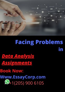 Facing Problems in Data Analysis Assignments