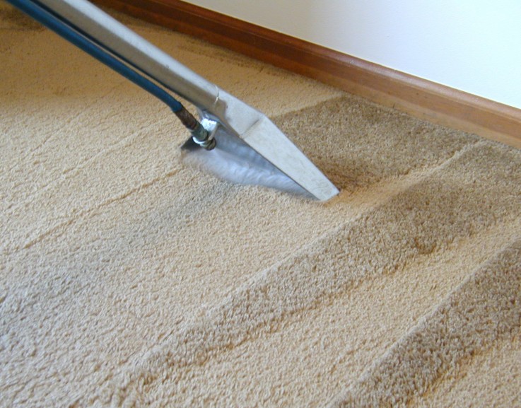 Carpet Cleaning Blacktown