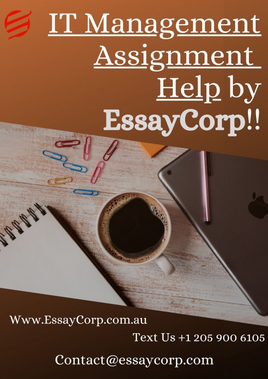 Book IT Management Assignment Help