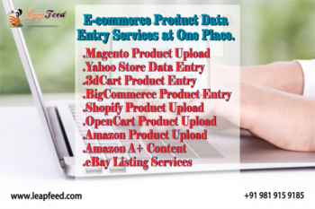 Ecommerce Marketplace Service Provider