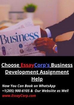 Choose EssayCorp's Business Development Assignment Help 