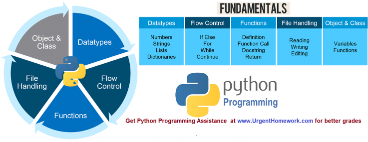 Python Homework Help