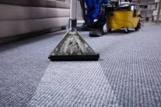 Carpet Steam Cleaning Craigieburn
