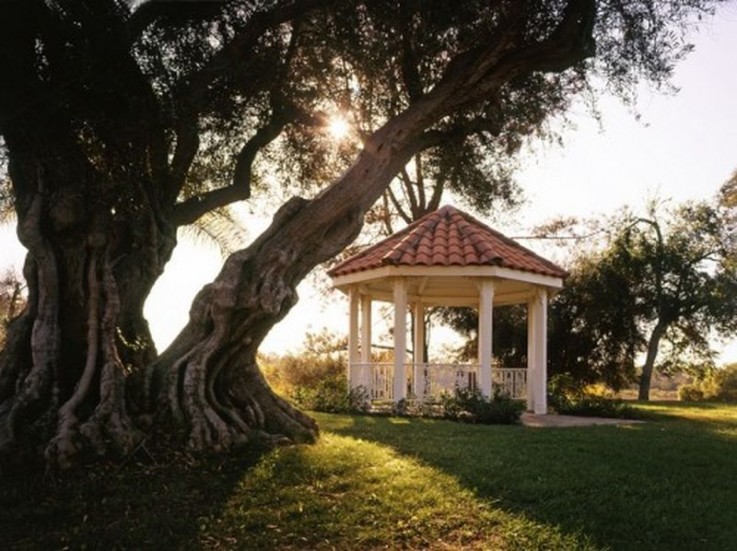 Home Based Building and Construction Service New South Wales