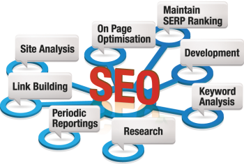 Find Expert SEO Services for your Business