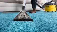 Carpet Cleaning Potts Point