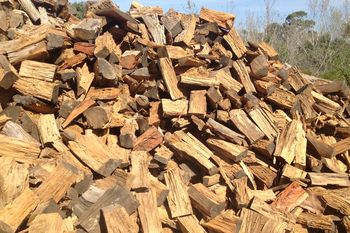 Bulk Firewood Sale at Affordable Price