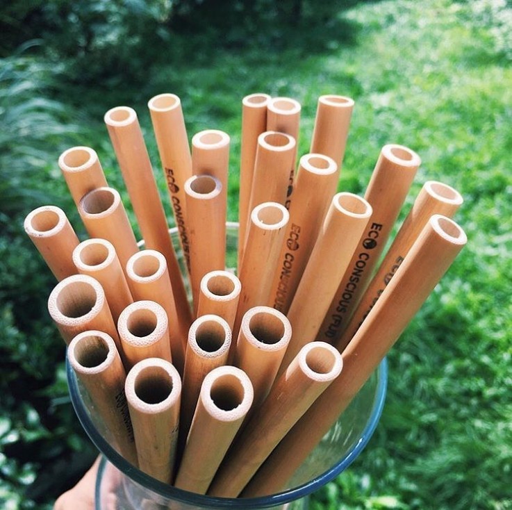 Buy Bamboo Straws in Bulk