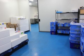 The Best Epoxy Flooring NSW - Ironbark flooring