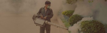 Importance of Pest Control Shepparton