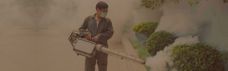 Importance of Pest Control Shepparton
