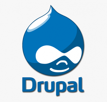 Drupal Development Company 