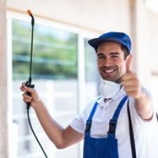 Pest Control Townsville