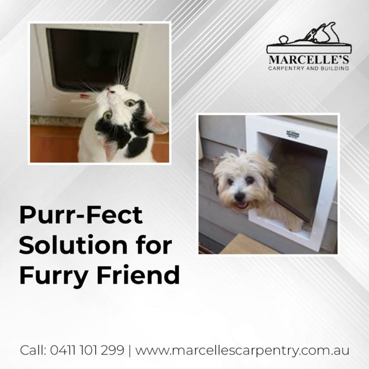 Get a Customised Door for Your Pet with Our Cat Enclosures