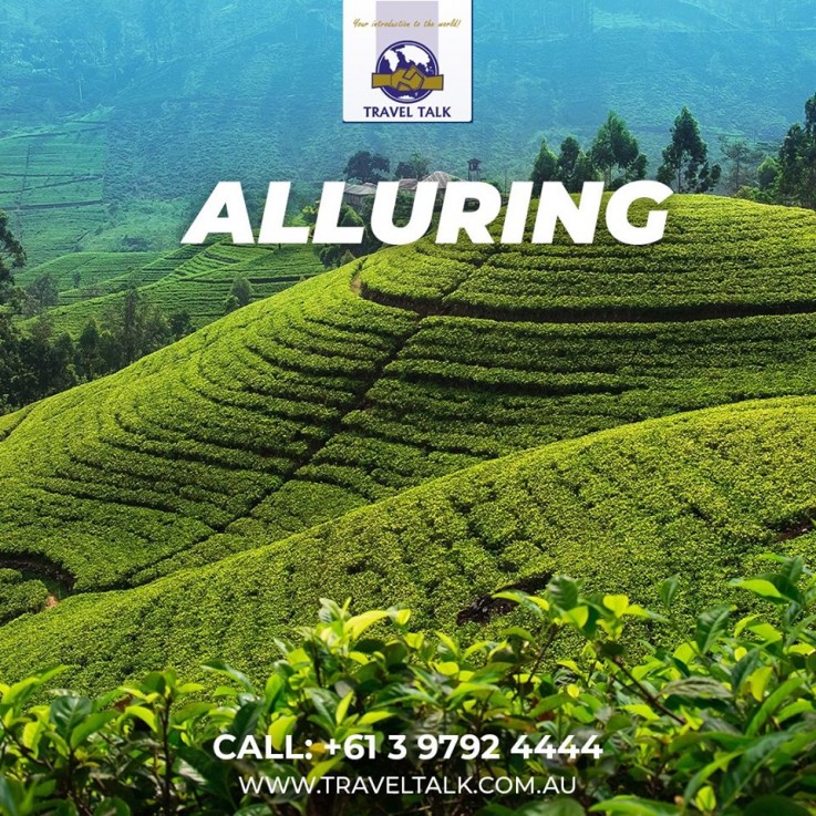 Now enjoy your holidays in Sri Lanka with our best packages