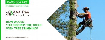Commercial Tree Services
