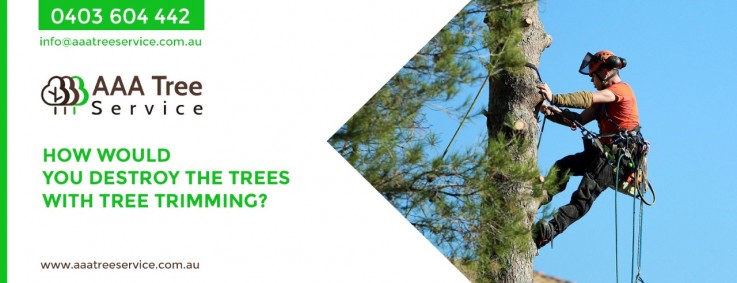Commercial Tree Services