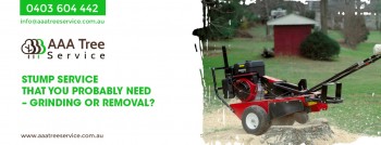 Commercial Tree Services