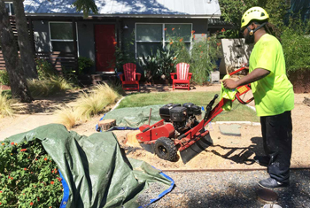 Commercial Tree Services